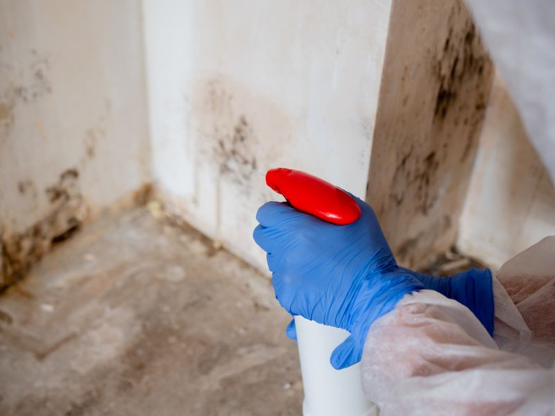 Attic Mold Remediation in Broward County, FL