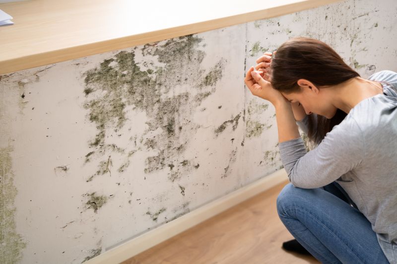 Attic Mold Removal in Fort Lauderdale, FL