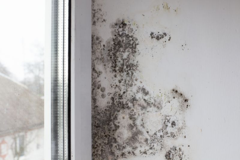 Black Mold Remediation in Broward County, FL