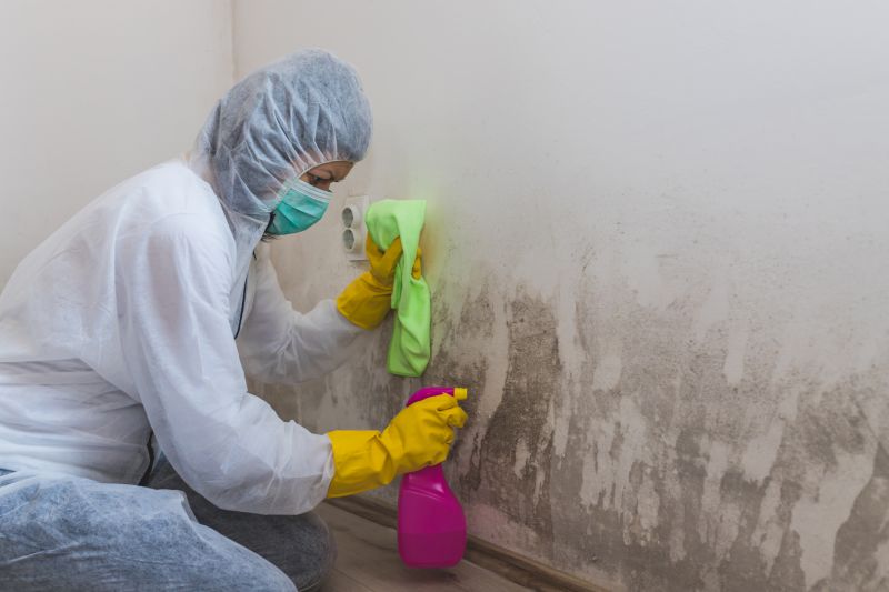 Black Mold Remediation in Jupiter, FL