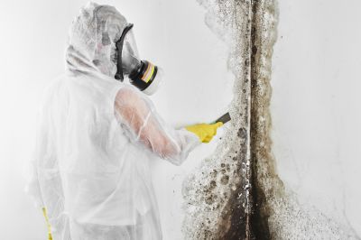 Black Mold Removal in Dallas, TX