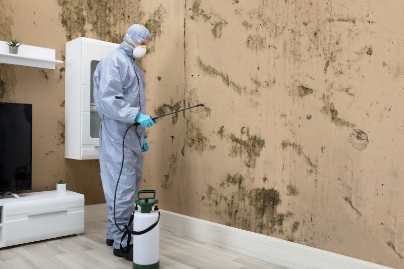 Black Mold Removal in Frisco, TX