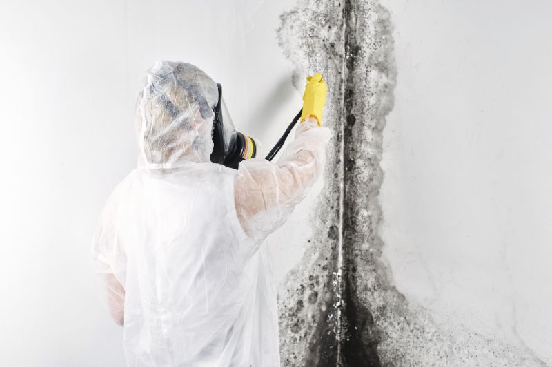 Crawlspace Mold Remediation in Fort Lauderdale, FL