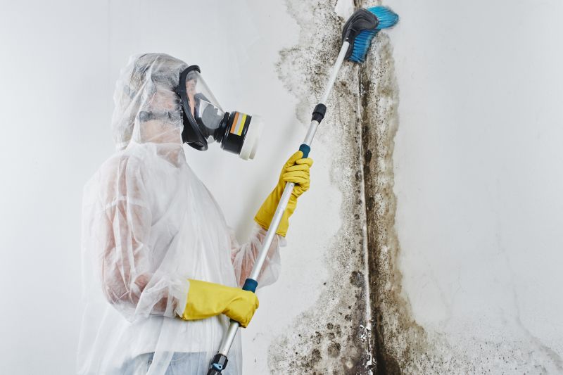 Garage Mold Remediation in West Palm Beach, FL