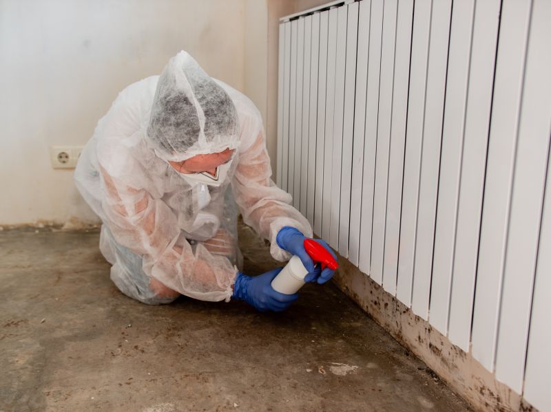 Garage Mold Remediation in Fort Worth, TX