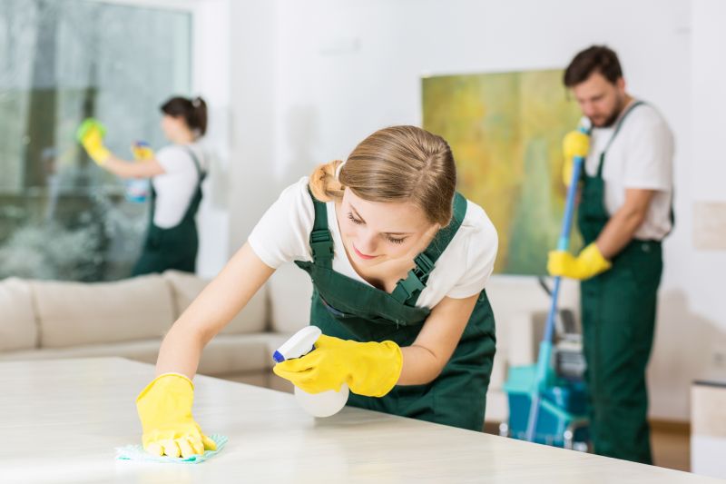 Kitchen Cleaning in Kent, WA
