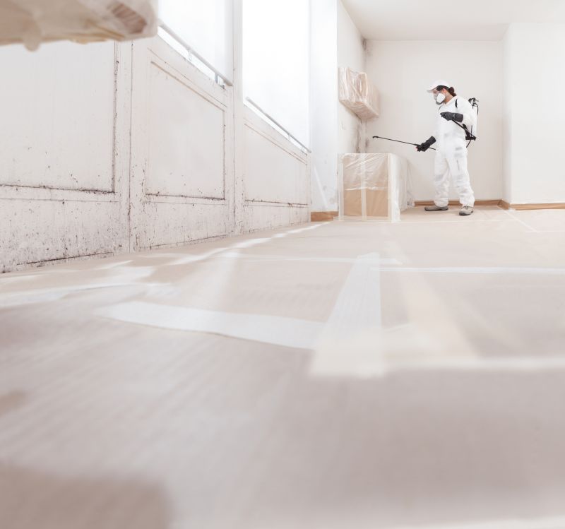 Mold Cleanup Service in Jupiter, FL