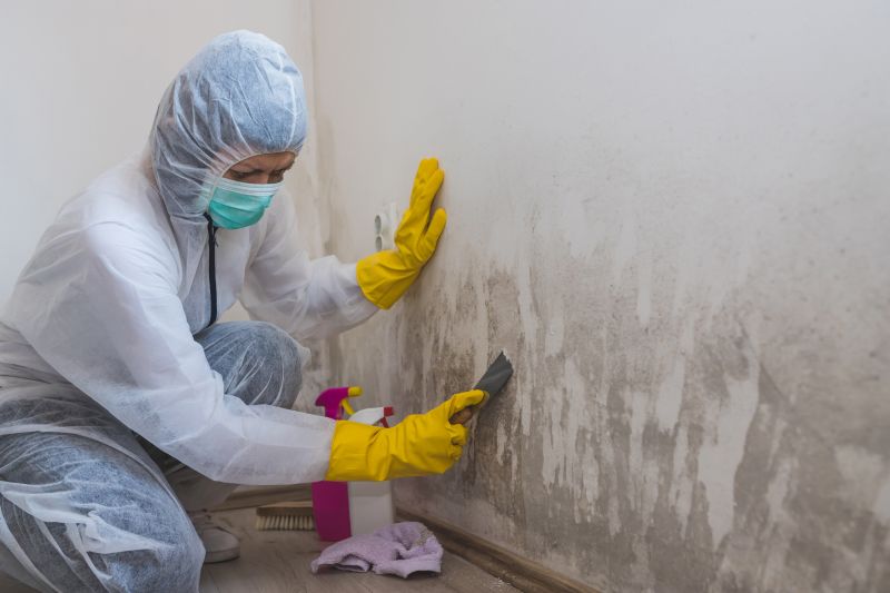 Mold Cleanup Service in Fort Lauderdale, FL