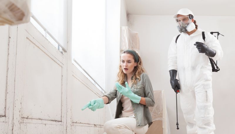 Mold Cleanup Service in Dallas, TX