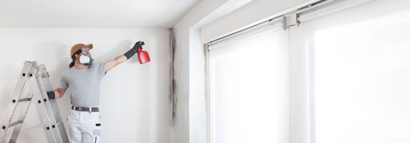 Mold Mitigation Service in Jupiter, FL