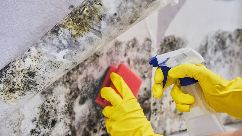 Mold Restoration in Fort Worth, TX
