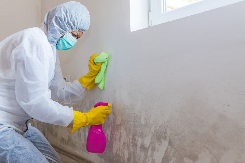 Mold Restoration in Boca Raton, FL