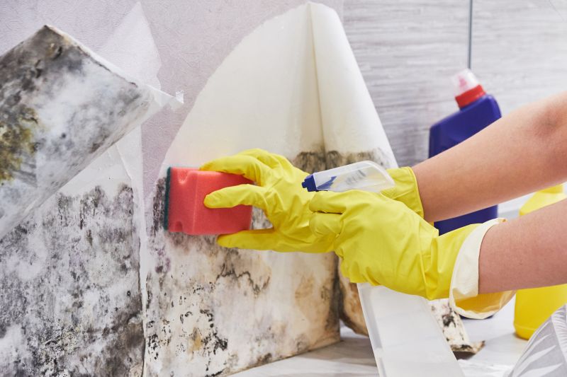Mold Treatment Service in West Palm Beach, FL