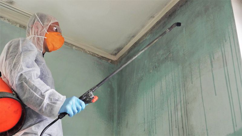 Air Duct Mold Removal in Essex County, NJ