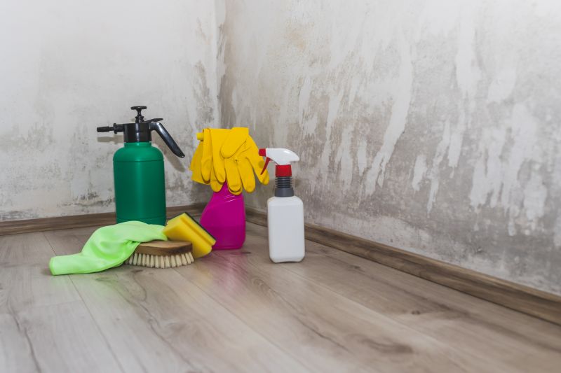 Garage Mold Remediation in Frisco, TX