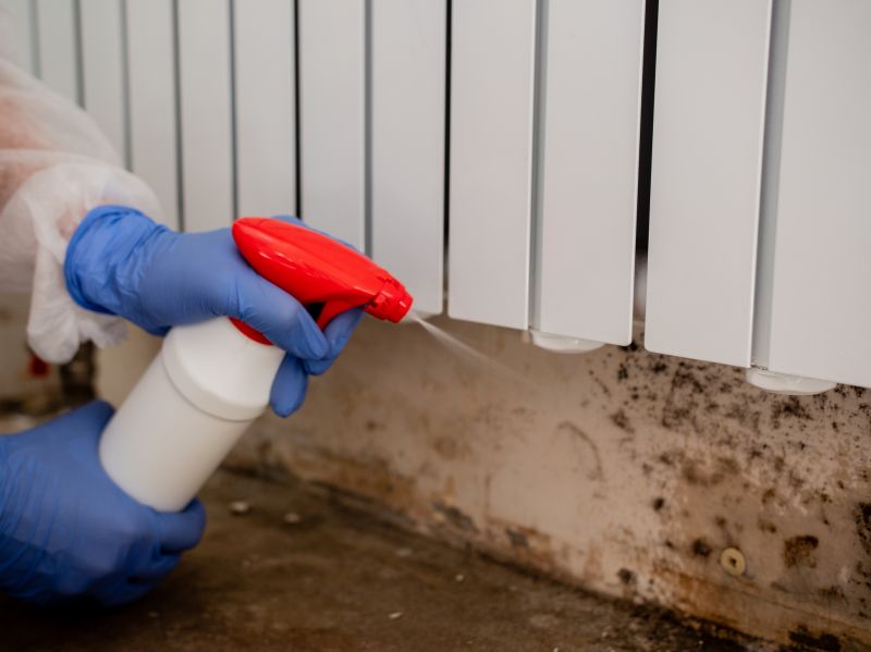 Mold Cleanup Service in Fort Worth, TX