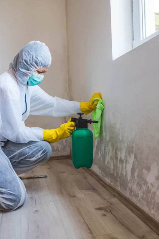 Mold Restoration in Boca Raton, FL
